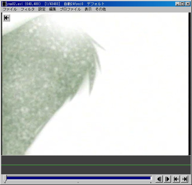 aut-018.jpg